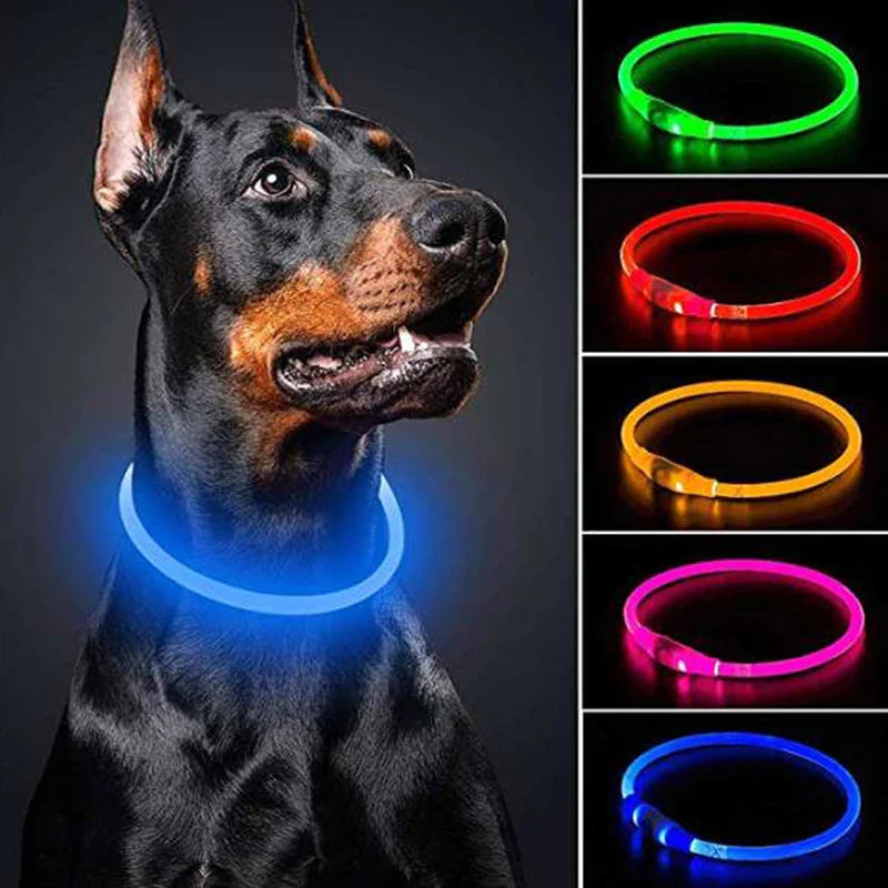 Led Usb Dog Collar Pet Dog Night Luminous Charge Collar Led Night Safety Flashing Glow Dog Loss Prevention Collar Pet Accessorie
